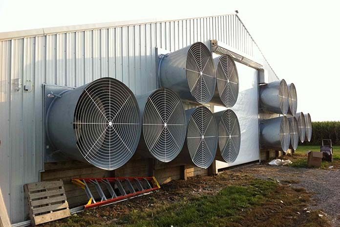 دلایل خرید هواکش مرغداری