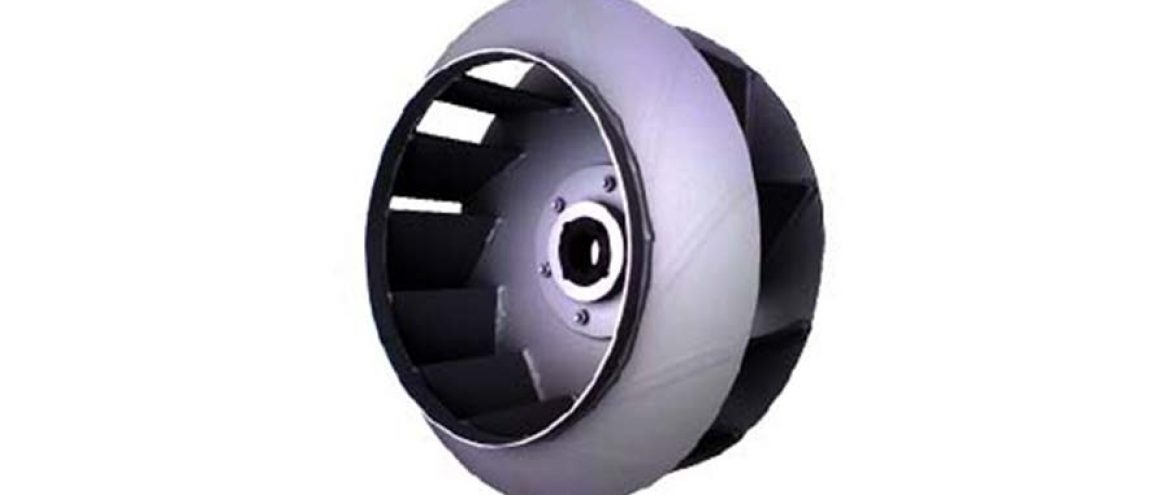 رادیال بکوارد