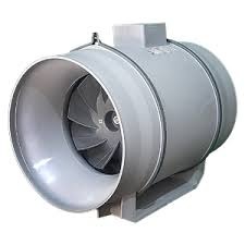 فن بین کانالی