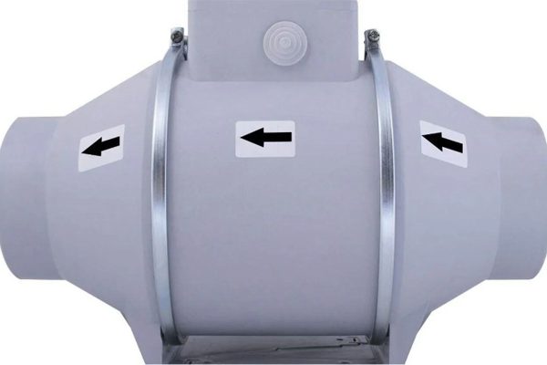 فن بین کانالی