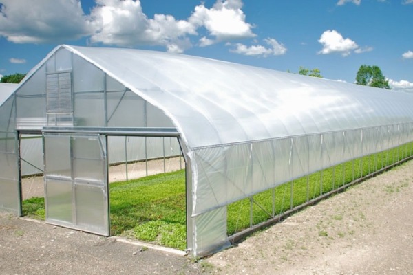 هواکش گلخانه‌ای